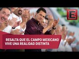 Peña Nieto destaca desarrollo del sector agropecuario