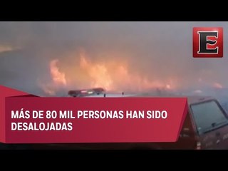 Continúa fuera de control incendio forestal en Chicago, EU