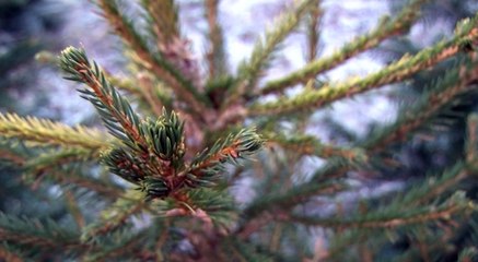 GOODLINES: 4th October 2018