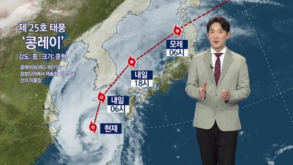 [날씨] 내륙 비바람 차츰 강해져...내일 정오 부산 상륙 / YTN