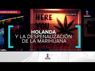 La despenalización de la Marihuana en el mundo | Sale el Sol