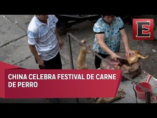 China promueve consumo de carne de perro