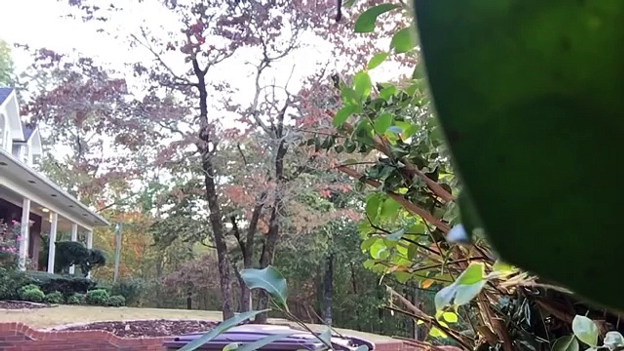 Funny Pranks Compilation _ AFV Funniest Prank Videos 2018