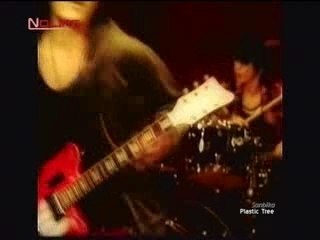 Plastic tree sanbika