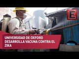Investigadores mexicanos buscan vacuna contra el zika