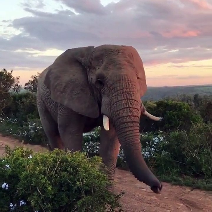 Can You Imagine Getting So Close To Such A Beautiful Creature?