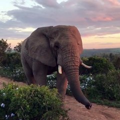 Can You Imagine Getting So Close To Such A Beautiful Creature?