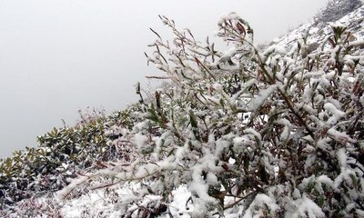Rize'de yaylalar beyaza büründü