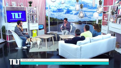 Adopte un Pet ! Retrouvez nos animaux coup de coeur de la semaine !