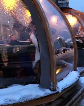 Dining At The Coppa Club In London Is A One Of A Kind Experience!