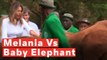 Melania Trump Nearly Knocked Over By Baby Elephant In Kenya