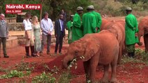 Melania Trump Nearly Knocked Over By Baby Elephant In Kenya