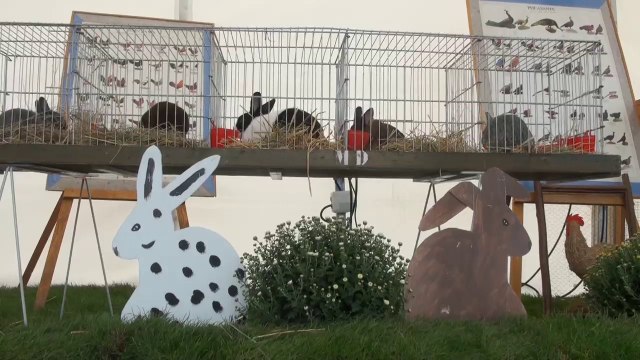 Des vedettes à poils et à plumes aux Journées d'octobre