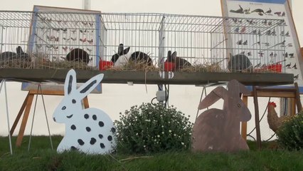 Des vedettes à poils et à plumes aux Journées d'octobre