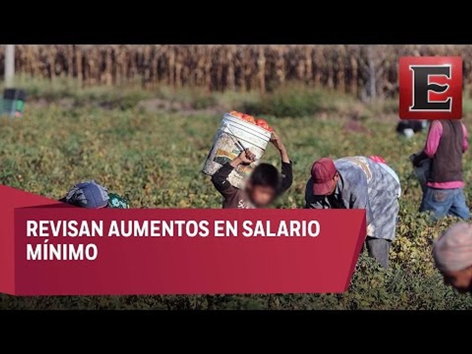La CNDH y la STPS firmaron convenio a favor de los jornaleros agrícolas
