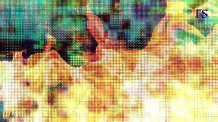 MAD Kamen Rider Brave&Snipe Fellow Soldier /Rayflower