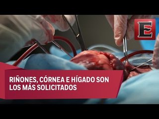 20 mil mexicanos esperan un trasplante de algún órgano