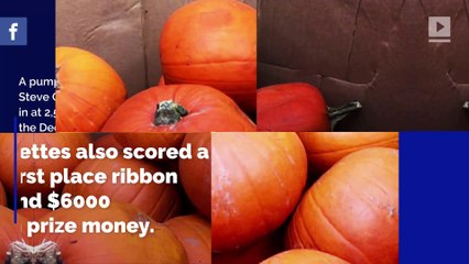 New Hampshire Man Sets Record for Heaviest Pumpkin in North America