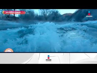 En este Planeta: ¿sabías que existen las flores de hielo? | Sale el Sol