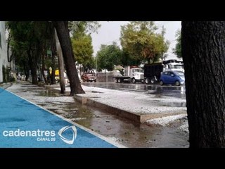 Fuerte viento derriba espectacular en el DF