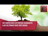 WWF presenta estrategia para el cuidado del ambiente