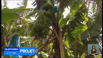 Banco de Germoplasma irá estudar Comportamento de Culturas sobre as Alterações Climáticas