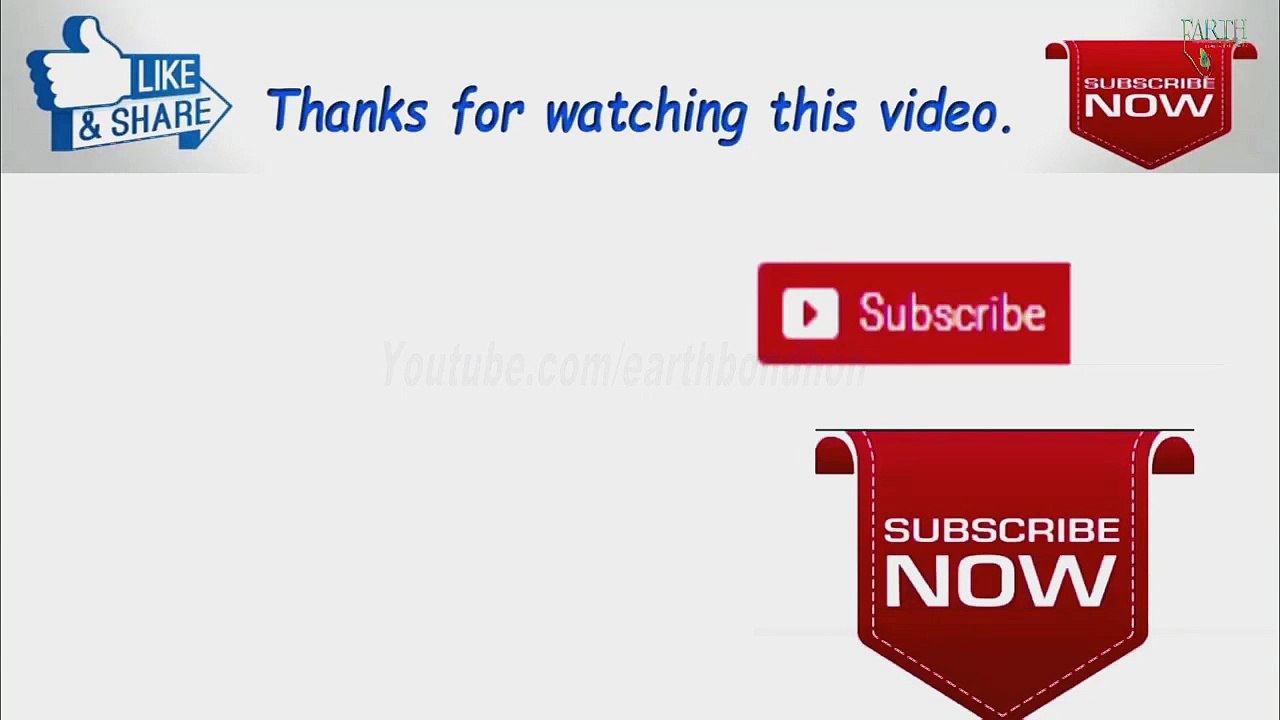 3 phase push button switch _ 3 Phase AC Machines _ Earth Bondhon