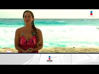 Horóscopos 12 de febrero: entra Venus en Piscis | Sale el Sol