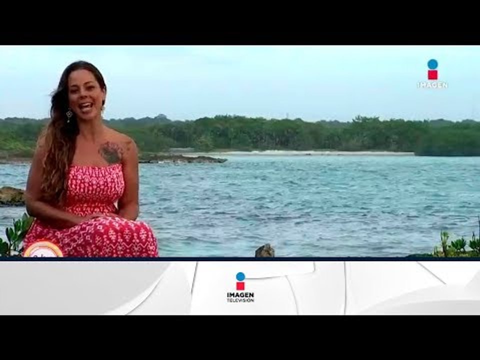 Horóscopos 2 de febrero: ¡aprovecha la energía para descansar! | Sale el Sol