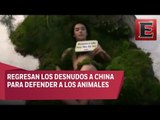 Artistas de China se desnudan para manifestarse en contra del uso de pieles