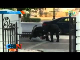 VIDEO: Policías patean y electrocutan a indigente en Yucatán