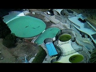 Profepa investiga a parque acuático Atlantis por irregularidades