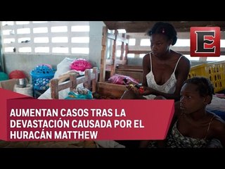 OMS enviará a Haití un millón de vacunas contra el cólera