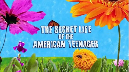 The Secret Life Of The American Teenager S02E10 Knocked Up, Who's There