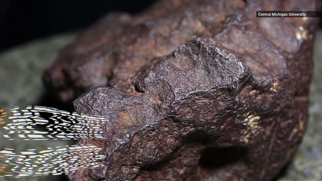 Guy Who Used Meteorite As A Doorstop For Years Is In For A Huge Payday