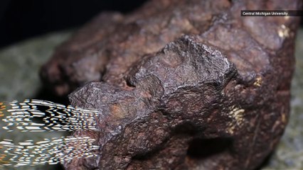 Michigan Man Who Used 22-Pound Meteorite as Doorstop Scores Massive Payday 🚪💰