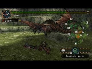1ere Chronique d'Okami : "La furie du Rathalos"