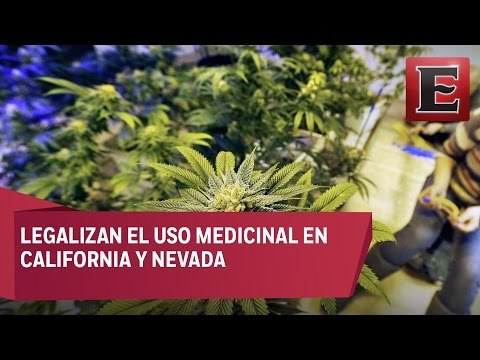 Aprueban uso medicinal de la marihuana en Estados Unidos