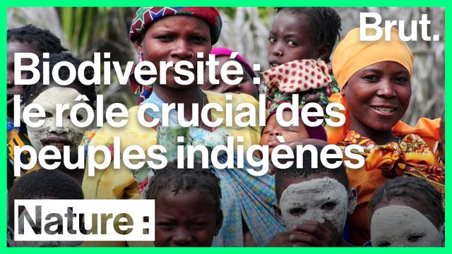 Interview avec Julie Garnier sur le rôle des peuples indigènes dans la protection de la biodiversité