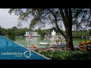 Roban nómina de trabajadores del Bosque de Chapultepec