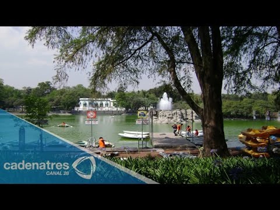 Roban nómina de trabajadores del Bosque de Chapultepec