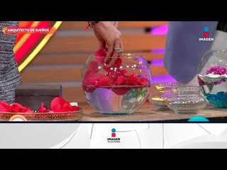 ¡Mantén el equilibrio de los 5 elementos en cada individuo! | Sale el Sol