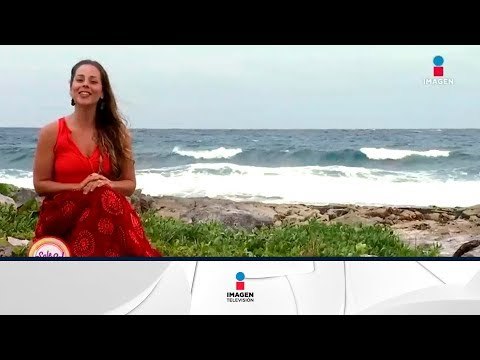 Horóscopos 15 de Marzo: ponte en acción para cumplir tus metas | Sale el Sol