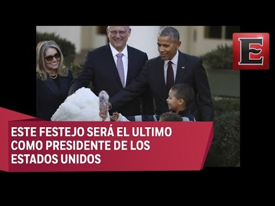 Obama le perdona la vida a dos pavos por motivo del Día de Acción de Gracias