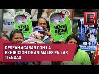 PVEM pide a padres a no regalar animales en fiestas decembrinas