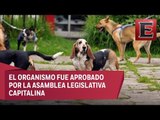 Crearán en la CDMX agencia para proteger a los animales