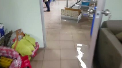 정전·침수되고 나무 쓰러져...곳곳 피해 / YTN