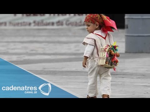 ¿Por qué celebramos el día de las Mulas? / Mitos y Ritos