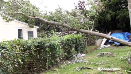 Download Video: Tornado uproots trees, causes severe damage to homes