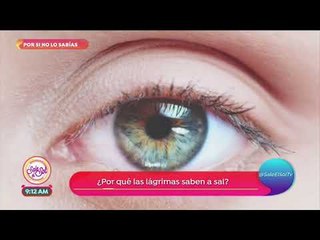 Por si no lo sabías: ¿por qué las lágrimas son saladas? | Sale el Sol